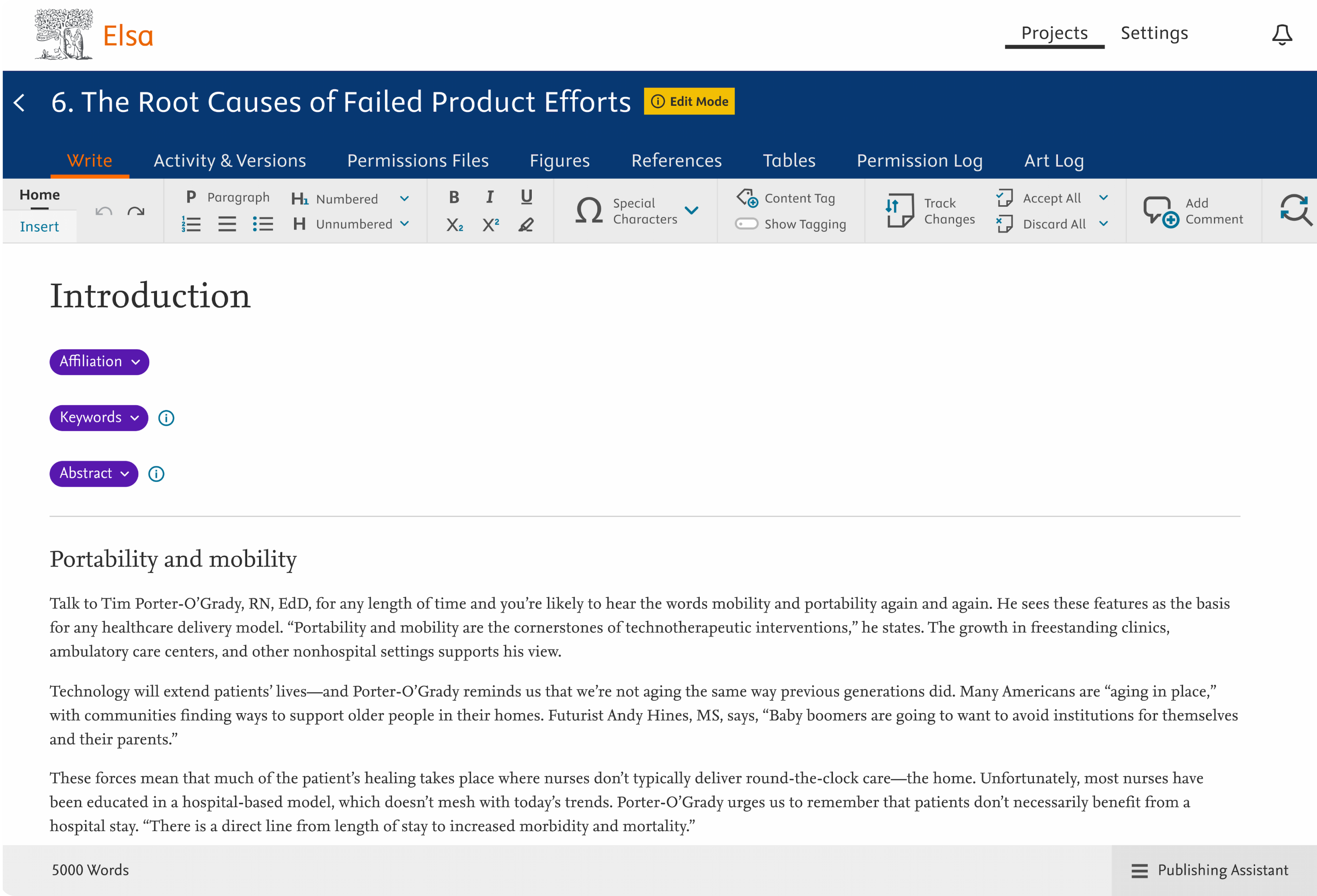 Screen of Elsa Write Space showing its richly featured authoring toolbar and an editable content area